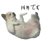 836124168