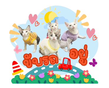 ลายที่ 1