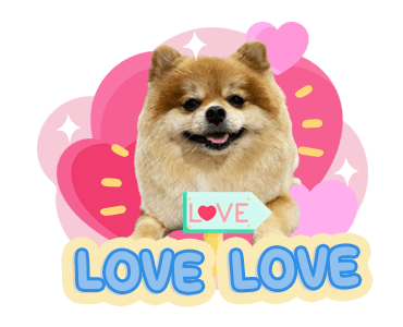 ลายที่ 3