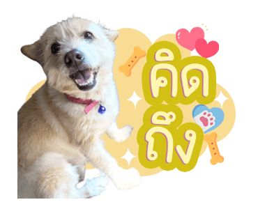 ลายที่ 5