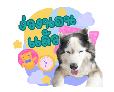 ลายที่ 7