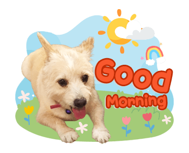 ลายที่ 9