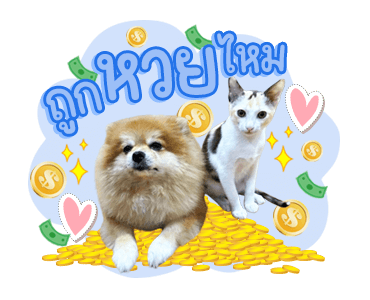 ลายที่ 11