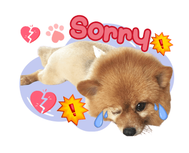 ลายที่ 15