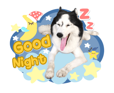 ลายที่ 19