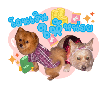 ลายที่ 21