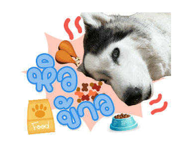 ลายที่ 25