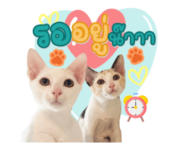 ลายที่ 29