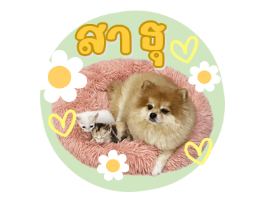 ลายที่ 33