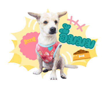 ลายที่ 35