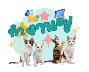 ลายที่ 37