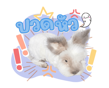 ลายที่ 39