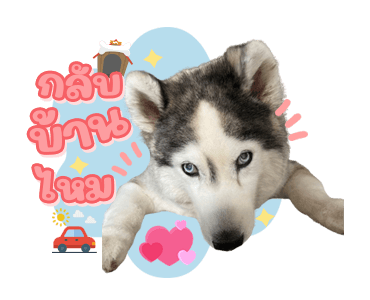 ลายที่ 41