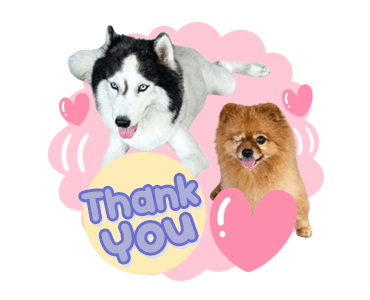 ลายที่ 43