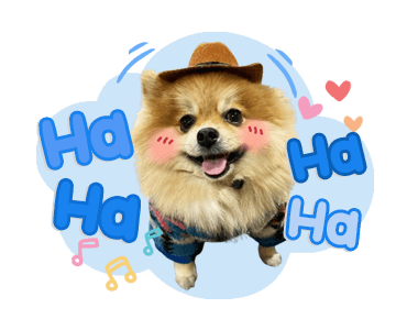 ลายที่ 47