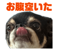 836153427