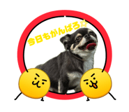 836153440