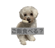 836153569