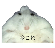 836153912