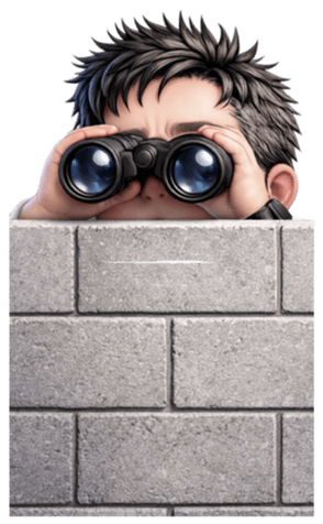 ลายที่ 47