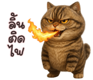 836160903