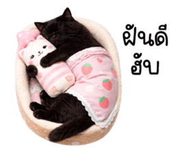 แมวดำปานขาว ตัวตึง รูปที่ 32
