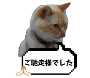 836161819