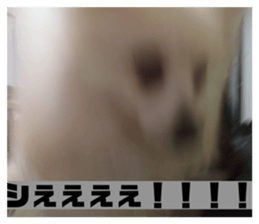 836162242