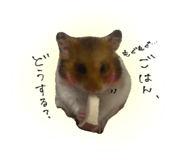 836162676