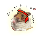 836162677