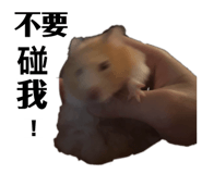 836166262