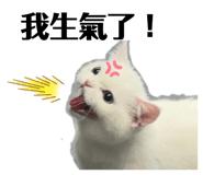 836166271