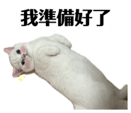 836166280