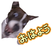 836190895