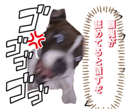 836190904
