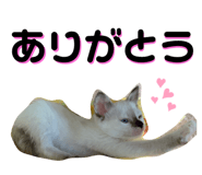 836192321