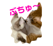 836192326