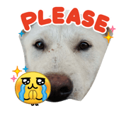 836199147