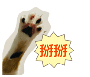 836204179