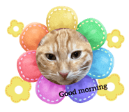836204199