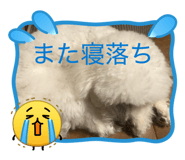 836205341