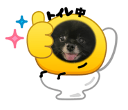 836205528