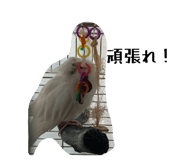 836208092