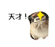 836208094