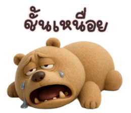หมี หน้ากวน รูปที่ 16