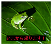 836233044