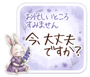 836236221