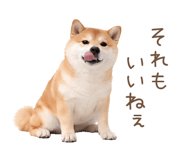 836239649