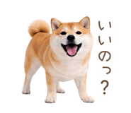 836239655