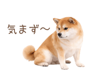 836239656